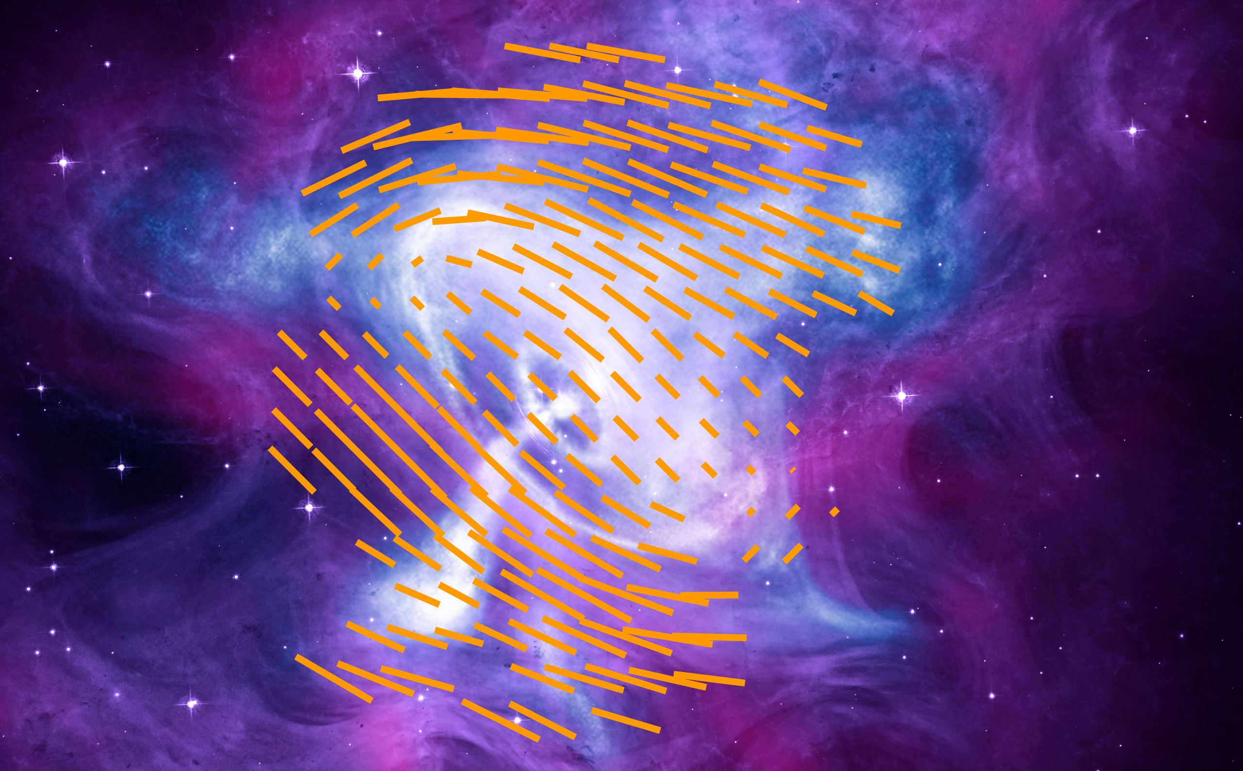 polarized view of the Crab wind nebula
