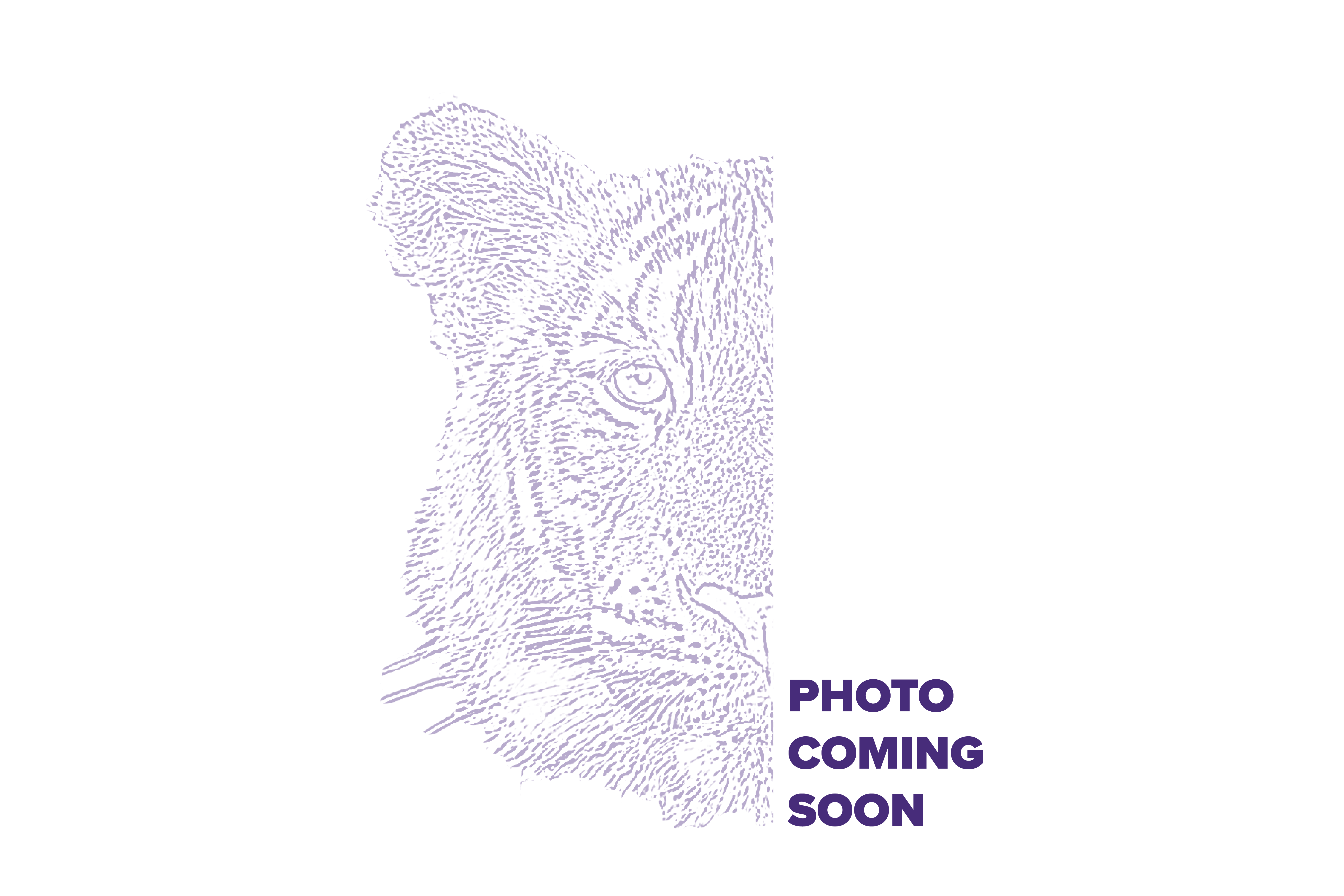 kreslyn's headshot coming soon