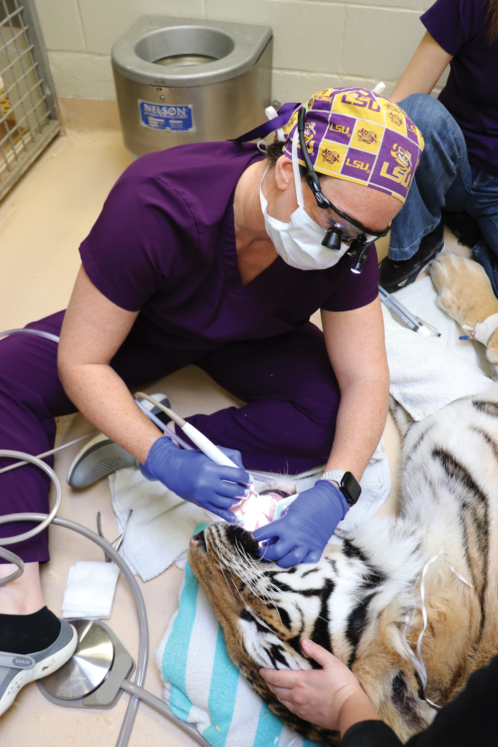 Dr. Blazevich cleaning Mike's teeth