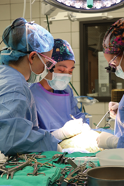neurology surgery